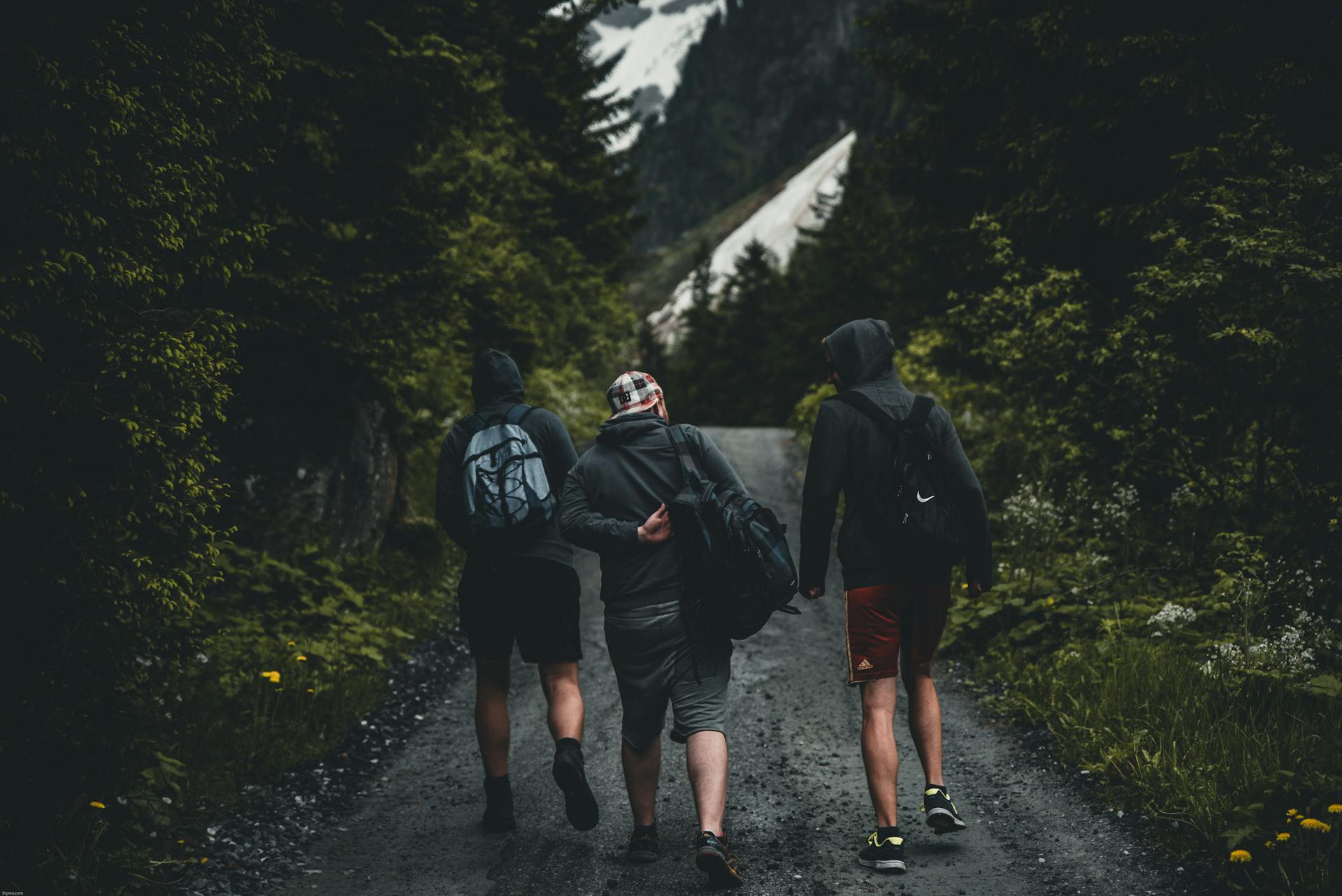 A group of friends walking together | Source: Pexels