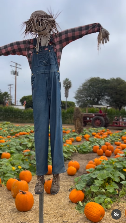 A scarecrow stands tall in the middle of a vibrant pumpkin patch, as seen in Meghan Markle's post dated October 26, 2025 | Source: Instagram/meghan