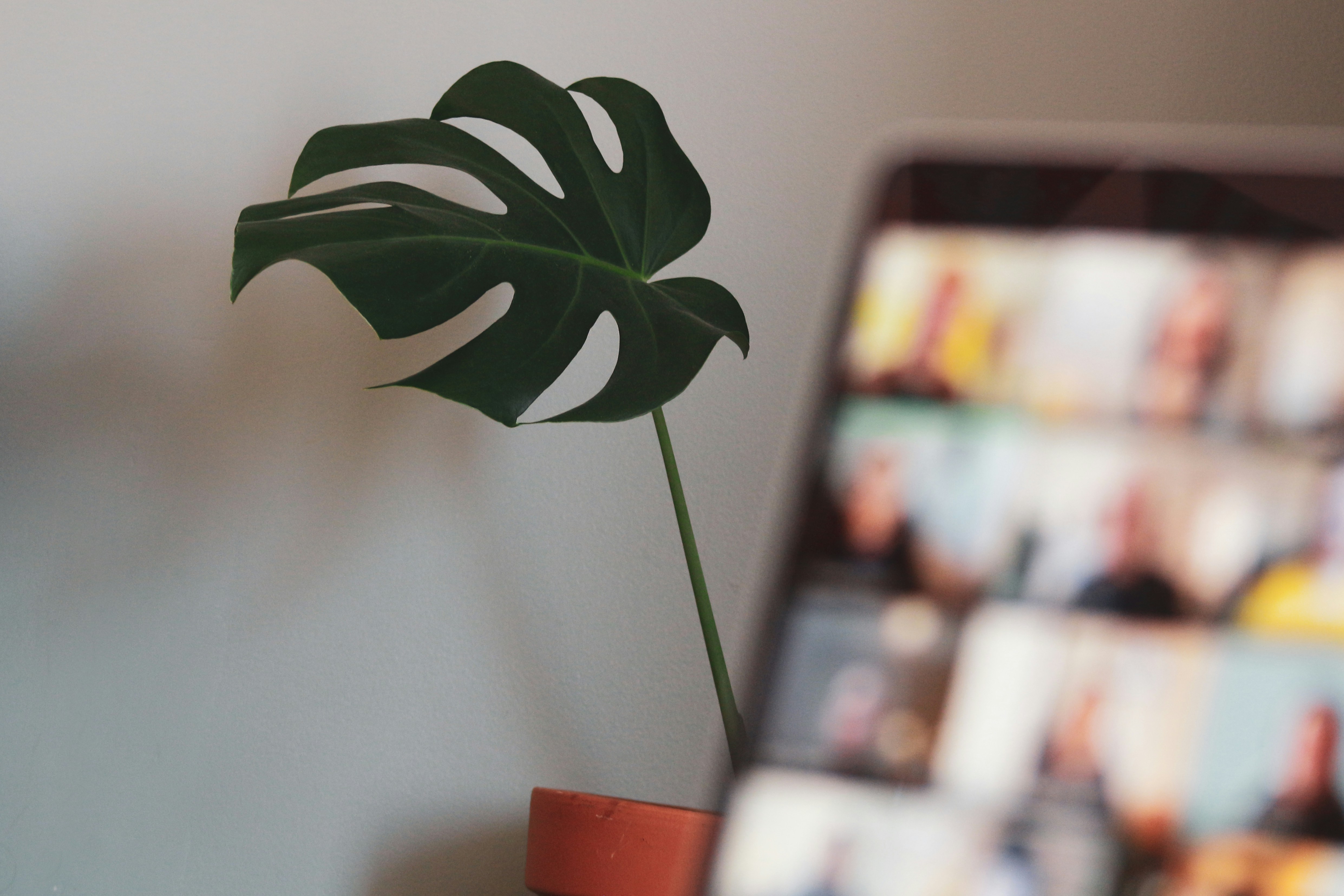 How to Develop Engaging Virtual Team-Building Activities That Drive Results