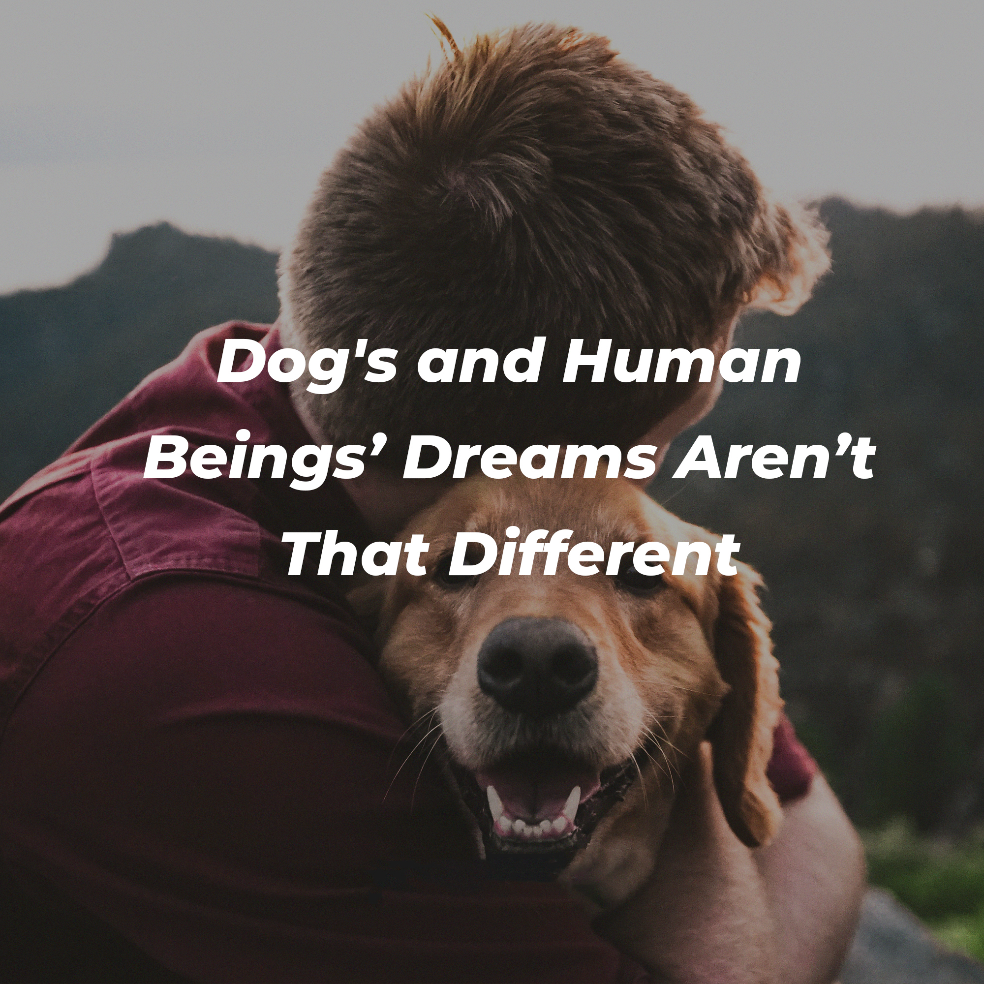An individual hugging a dog with text that reads, “Dog’s And Human Beings’ Dreams Aren’t That Different.” | Image: Unsplash