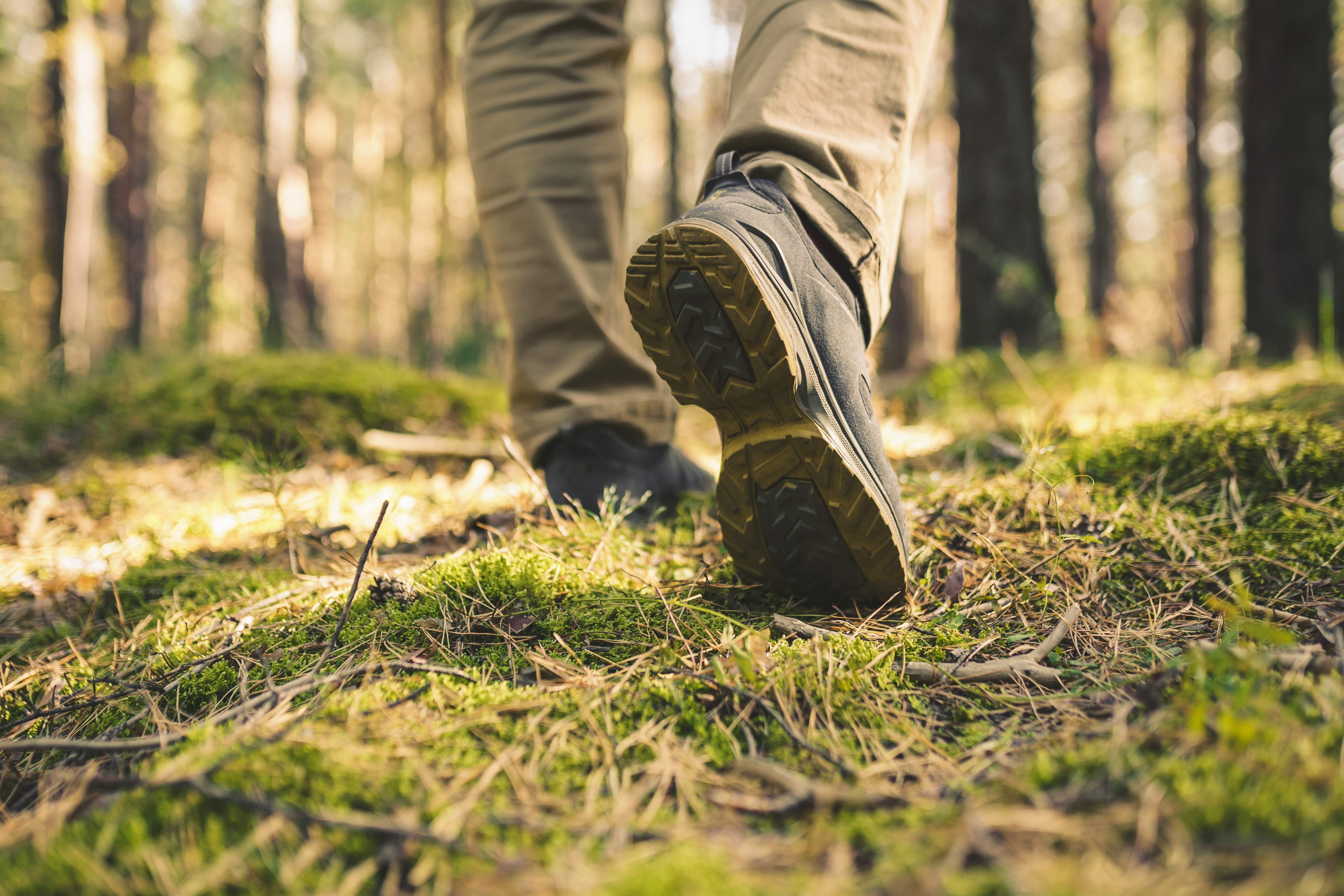 One person walking in the woods | Source: Shutterstock