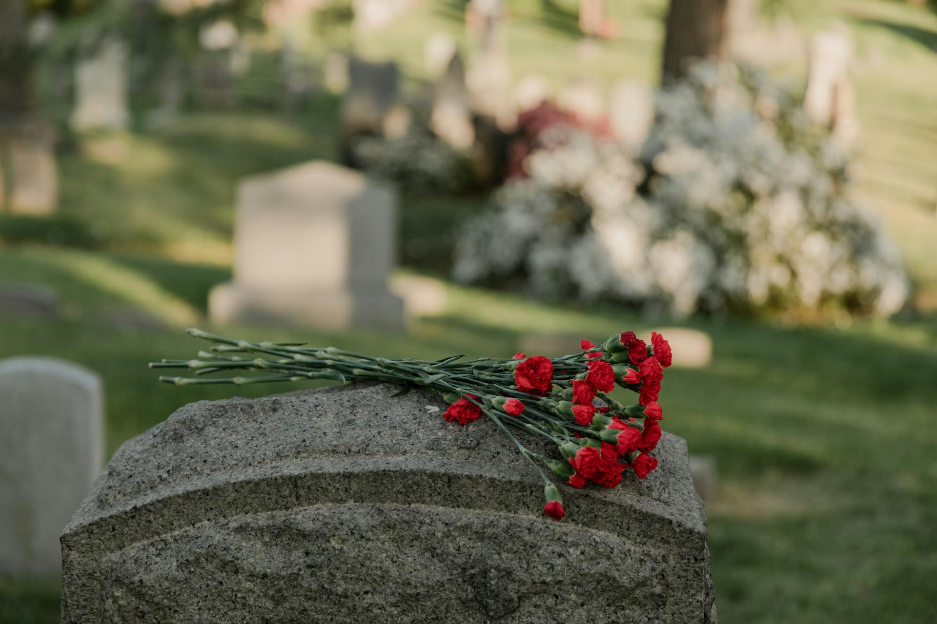 Red flowers on a grave marker | Source: Pexels