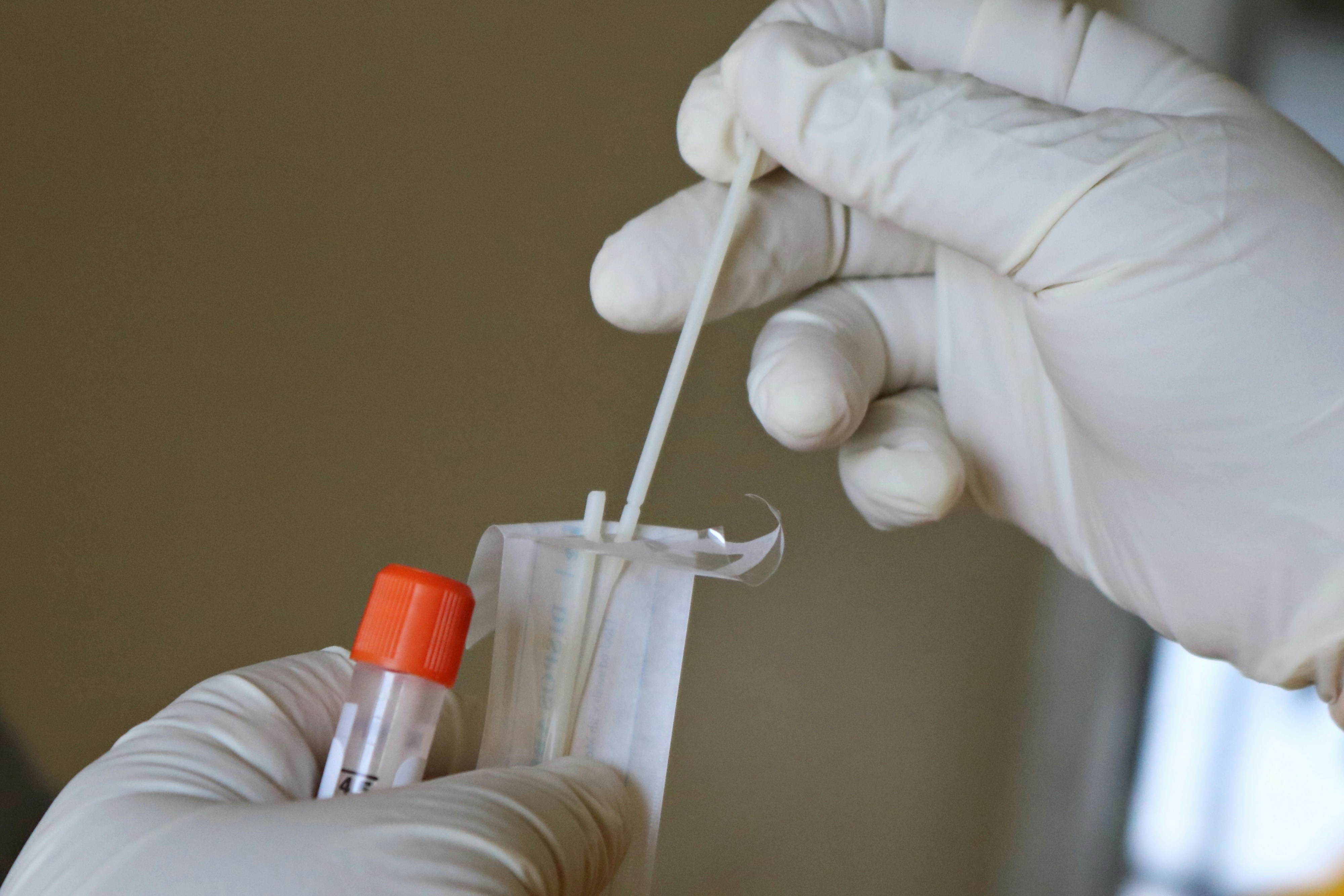 A person holding a swab for a DNA test | Source: Unsplash